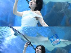 -合肥海洋世界