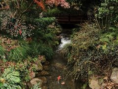 -中国茶叶博物馆(双峰馆区)