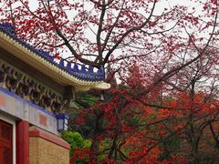 -广州中山纪念堂