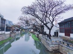 -青果巷历史文化街区