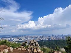 -长虫山生态公园风景林