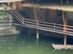 -海南槟榔谷黎苗文化旅游区