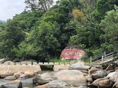 -海南热带雨林国家公园吊罗山景区