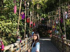 -西双版纳原始森林公园