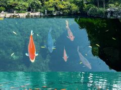 -济南大明湖景区