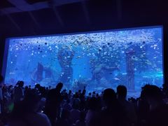 -哈尔滨波塞冬海底世界