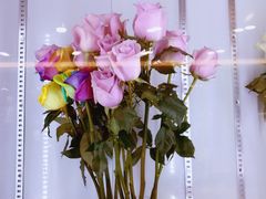 -ROSEONLY诺誓(国际广场购物中心店)