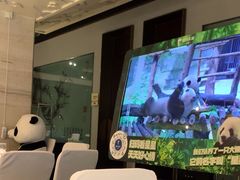 -眉州东坡(华联万柳店)