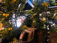 景观位-LYFATTI 莱芙缇(赣水路店)