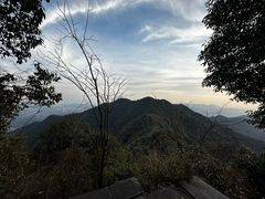 -午潮山国家森林公园