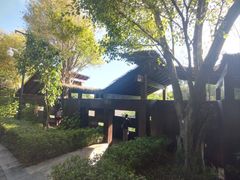 -福田红树林生态公园