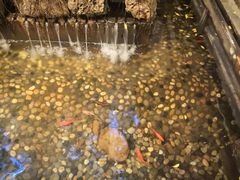 -文儒九号·闽菜馆(三坊七巷店)