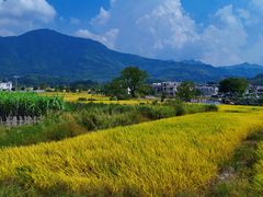 -塔川景区