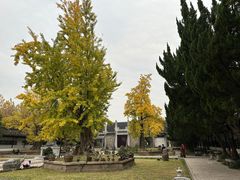 -苏州文庙(姑苏区)