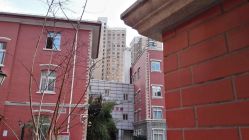 点击看大图 -复旦大学附属妇产科医院(黄浦院区)