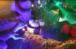 -恐龙探索乐园(磁器口店)