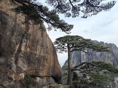 -黄山风景区