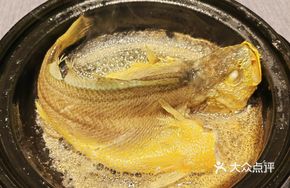 Clay Pot Salt-Steamed Wild Yellow Croaker