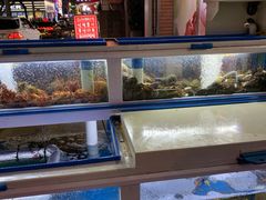 -真情鲍鱼海鲜汤