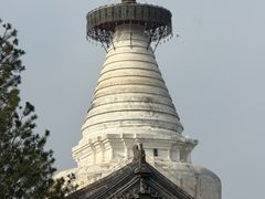 -杏园餐厅(阜成门店)