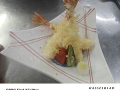 -罗浮宫酒店