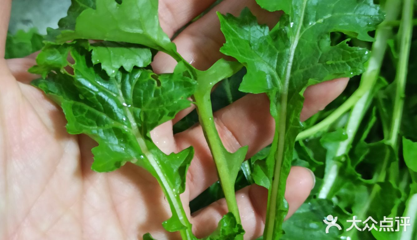 我超听劝!!这菜能生吃么?举着饭碗等回复!