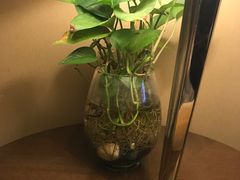 -上海红塔豪华精选酒店