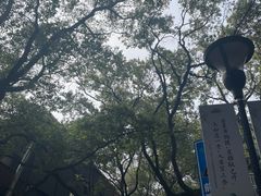 -岳麓山风景名胜区