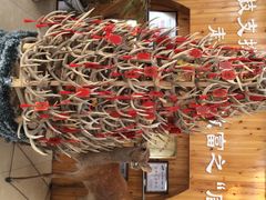 iphone_upload_pic-北京鹿世界主题园