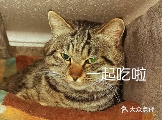 0元探店,是时候放出我最大的必杀技真诚了