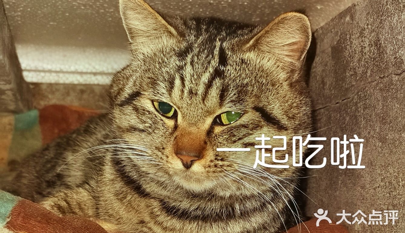 0元探店,是时候放出我最大的必杀技真诚了