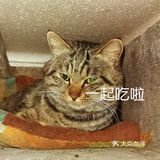 0元探店,是时候放出我最大的必杀技真诚了