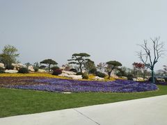 -南通鲜花小镇