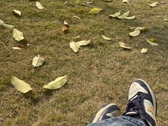 -西南政法大学(渝北校区)