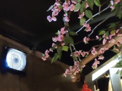 -树下时尚餐厅(翠园街店)