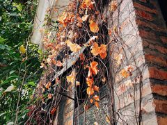 -西关84·History·Art·Cafe