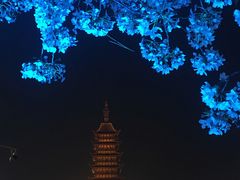 -常熟方塔园