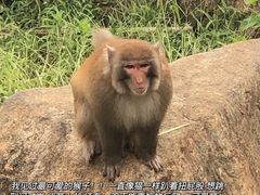 -上方山森林动物世界