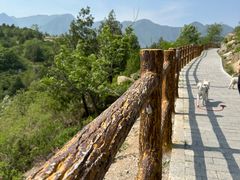 -白水寺森林公园