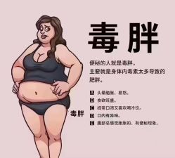 -香薇妮丝·定制减肥·身材管理