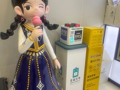 -西琳姑娘·新疆冰淇淋酸奶茶(解放北路店)