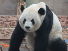 -无锡动物园·太湖欢乐园