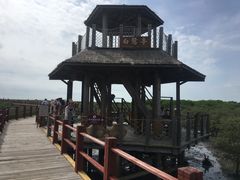 -北海金海湾红树林生态旅游区