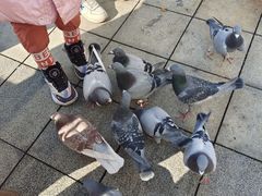 -银泰百货(海宁店)
