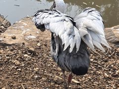 -无锡动物园·太湖欢乐园
