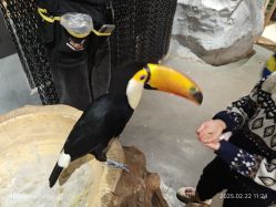 -Zoolung Zoolung动物主题公园(海信广场店)