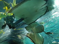 -福州罗源湾海洋世界旅游区