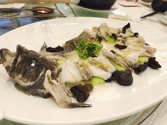 清蒸老虎斑。-香港富临皇宫(五月花商业广场店)
