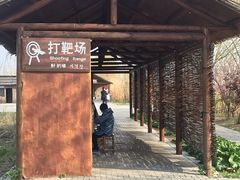 -泗洪洪泽湖湿地景区