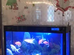 水产区-宜昌富力皇冠假日酒店·咖啡1号西餐厅